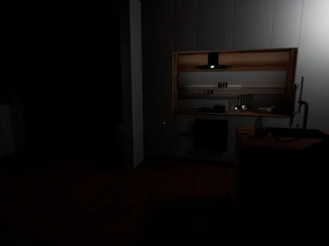 Pet Cam
