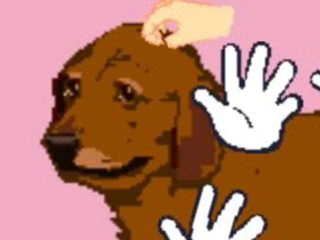Pet Dog