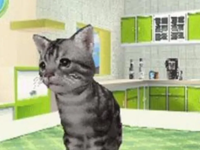 Petz Catz Family