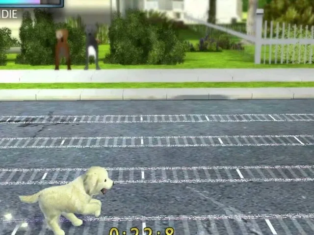 Petz Sports
