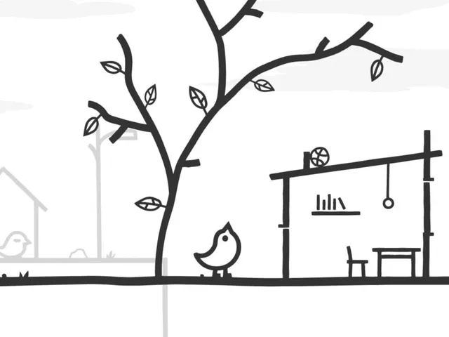 PiAwk