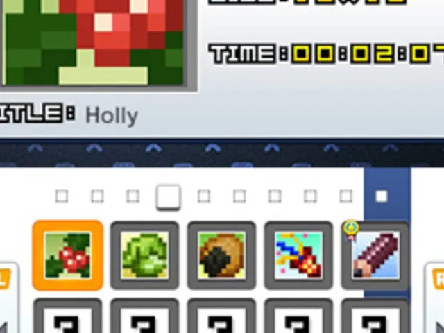 Picross e8