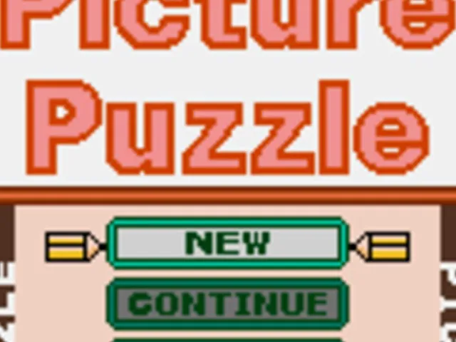 Picture Puzzle