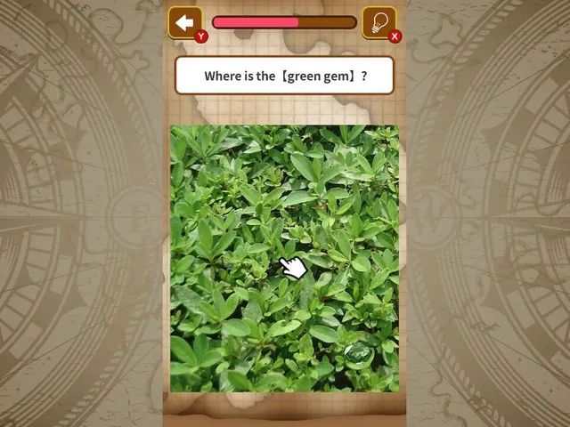 Picture Treasure Hunt