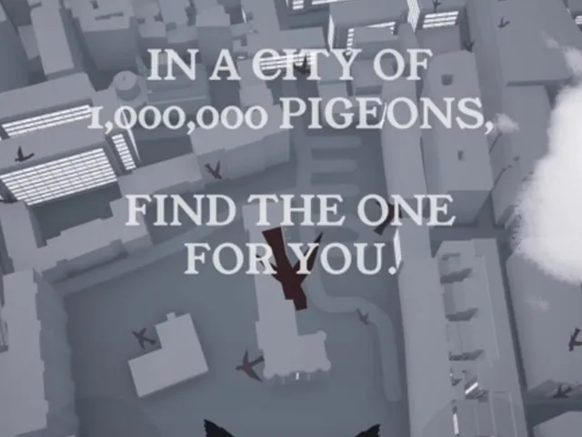 Pigeon: A Love Story