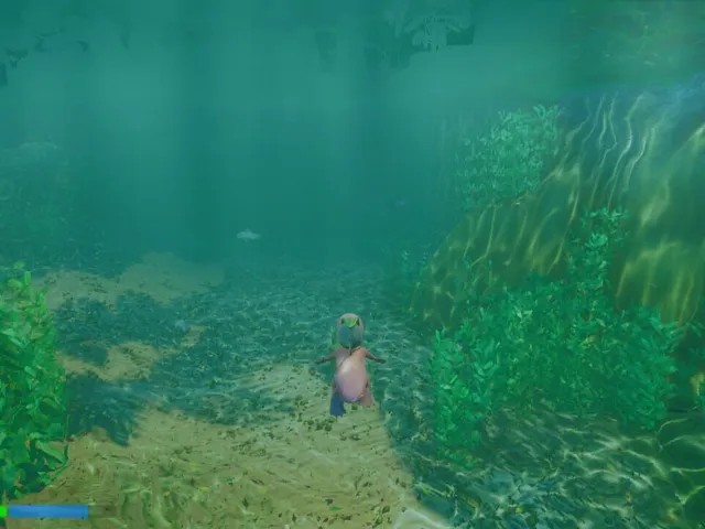 Platypus Adventures
