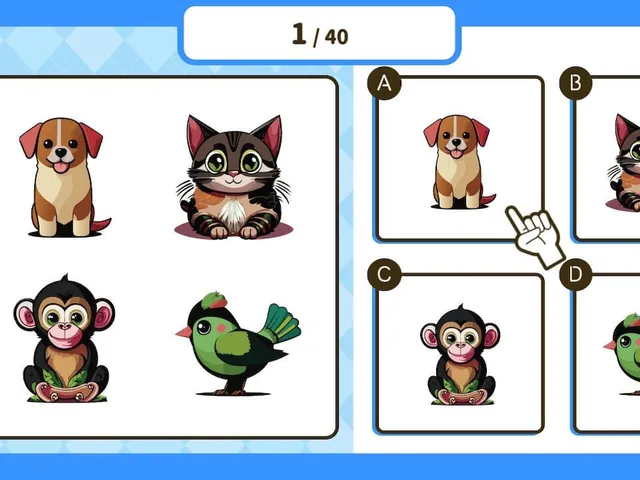 Play & Learn Kids' Mini-Game Collection