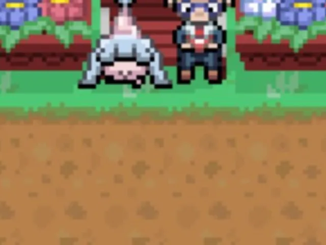 Pokémon Hidden Place