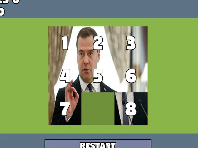 Political Puzzle