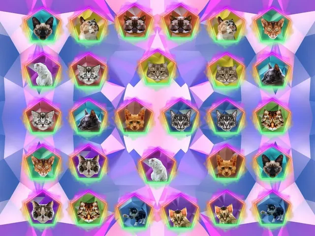 Poly Memory: Cats