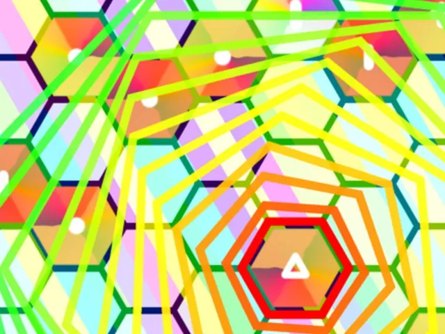 Polygon Evolution