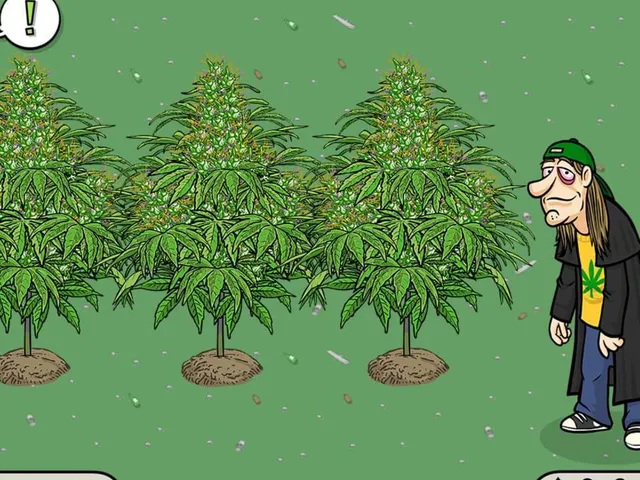 Pot Farm