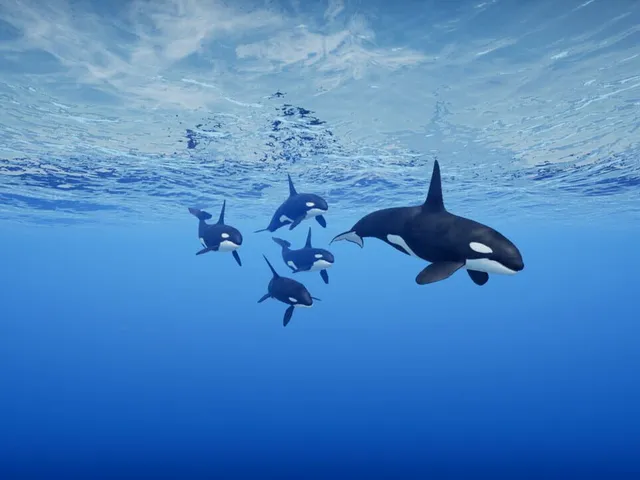 Primal Blue