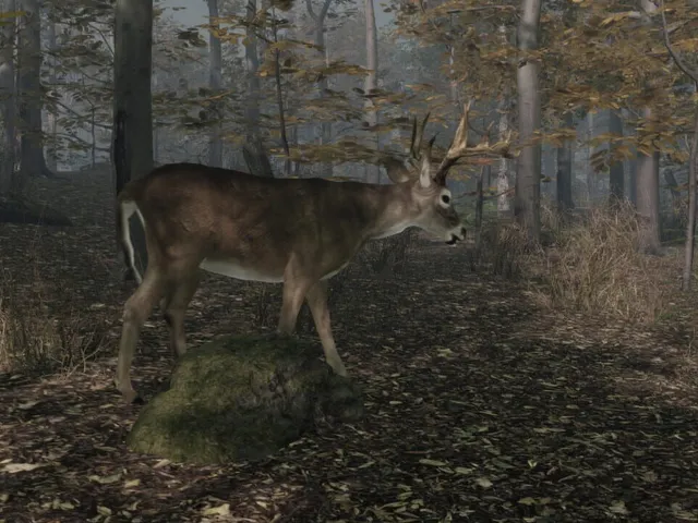 Pro Deer Hunting 2