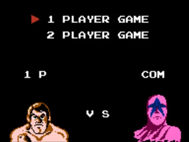 Pro Wrestling