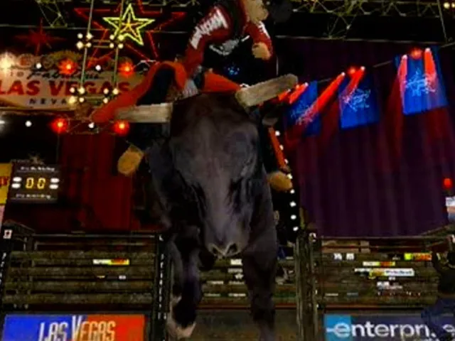Professional Bull Riding: Out of the Chute
