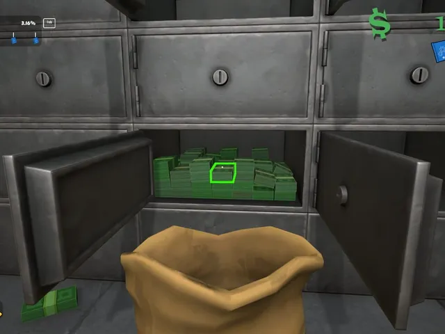 Professional Money Relocator