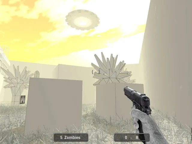 Project of the Developer