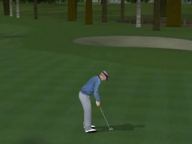 ProStroke Golf: World Tour 2007