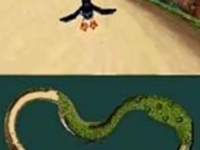Puffins: Let's Race!
