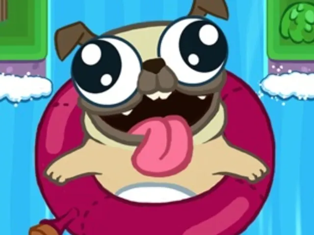 Pug Rapids