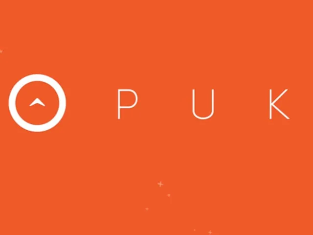 Puk
