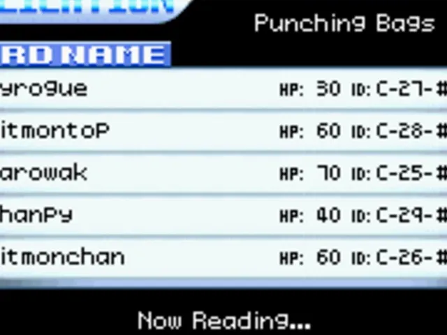 Punching Bags