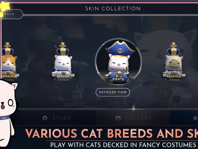 PurrChess