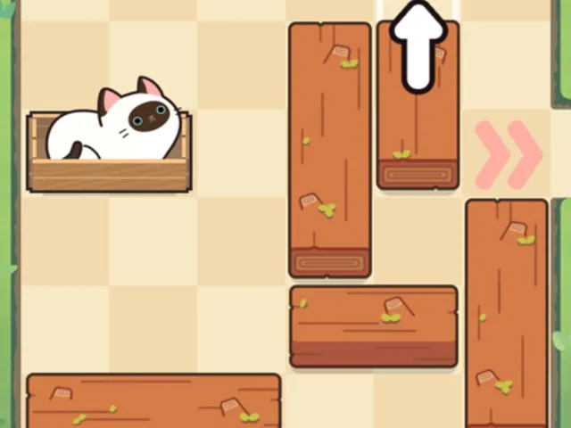 Push Push Cat