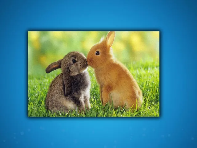 Puzzle: Animals