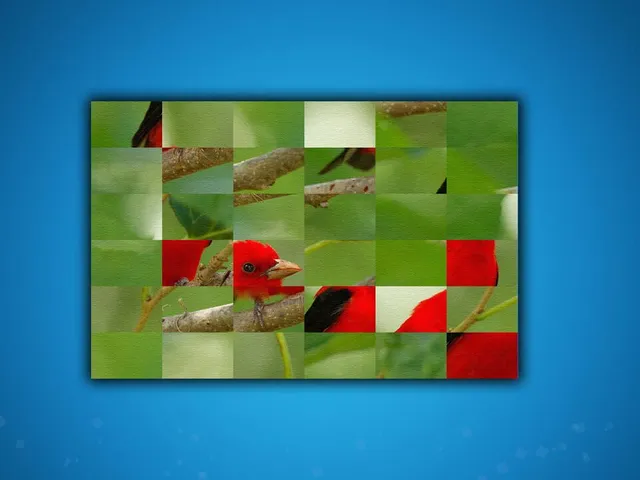 Puzzle: Birds