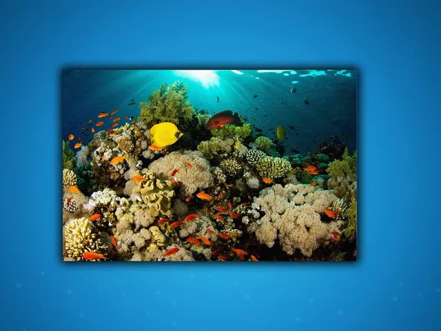 Puzzle: Ocean