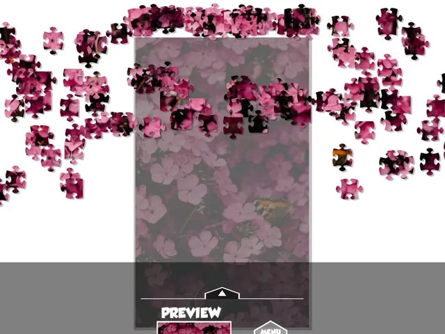 Puzzlection