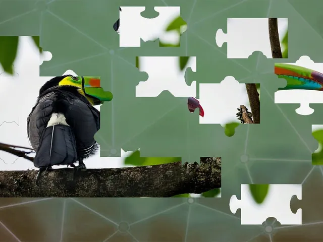 Puzzles for Smart: Birds