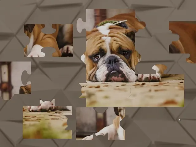 Puzzles for smart: Dogs
