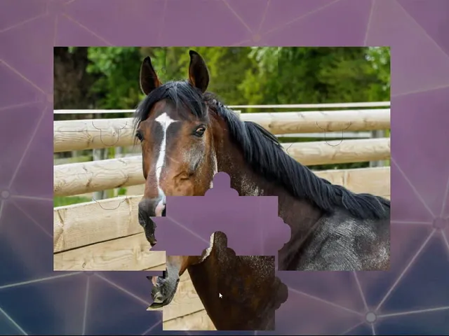 Puzzles for smart: Horses