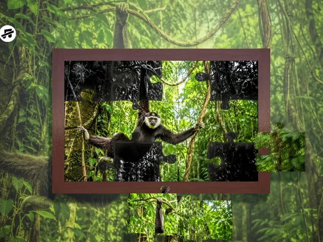 Puzzles: Monkey