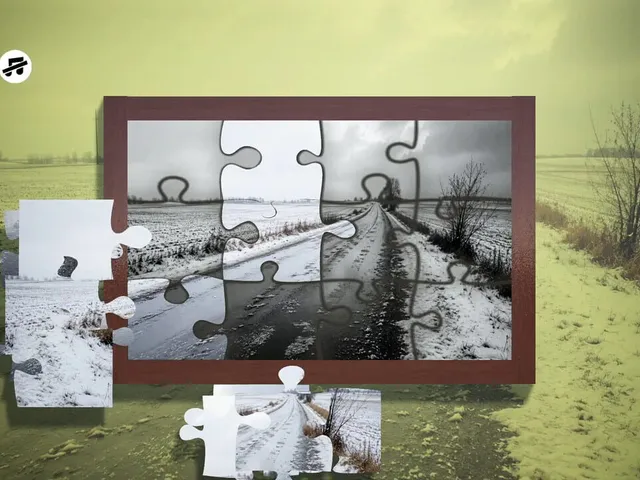 Puzzles Snow