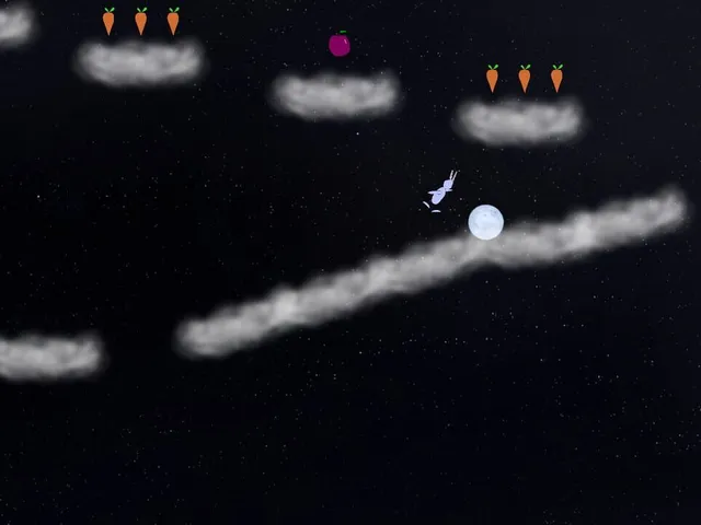 Rabbit and the moon