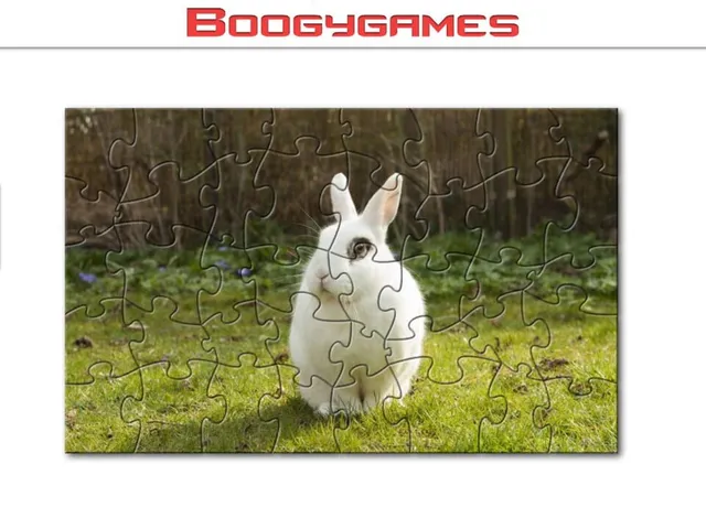 Rabbit: Jigsaw Puzzles