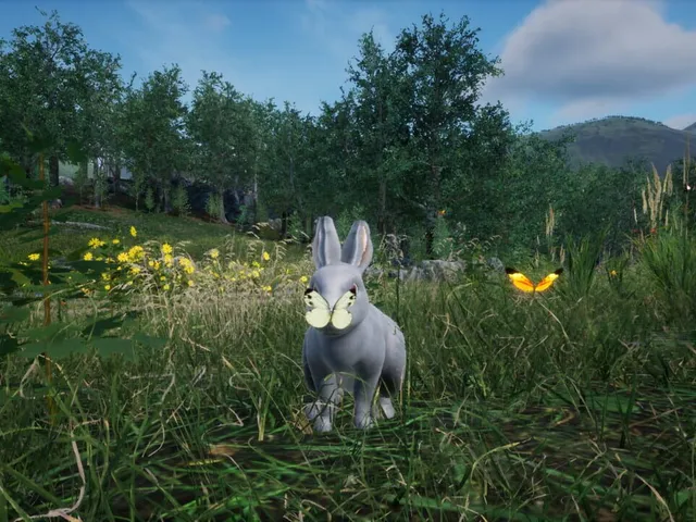 Rabbit Meadow
