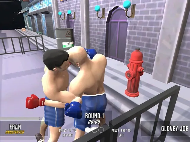 Ragdoll Boxing Multiplayer