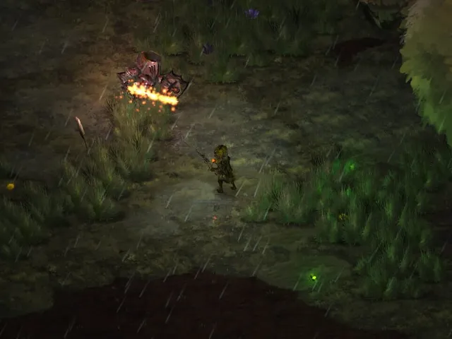 Raindancer