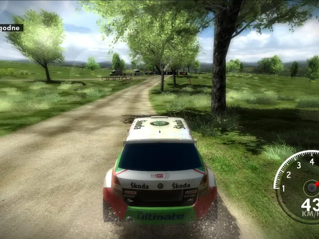 Rally Poland