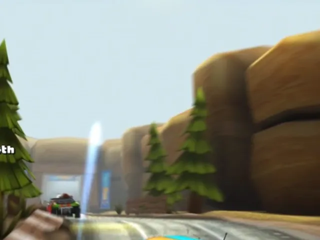 Rally Run