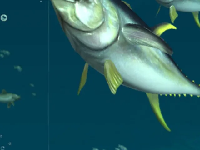 Rapala Fishing: Daily Catch