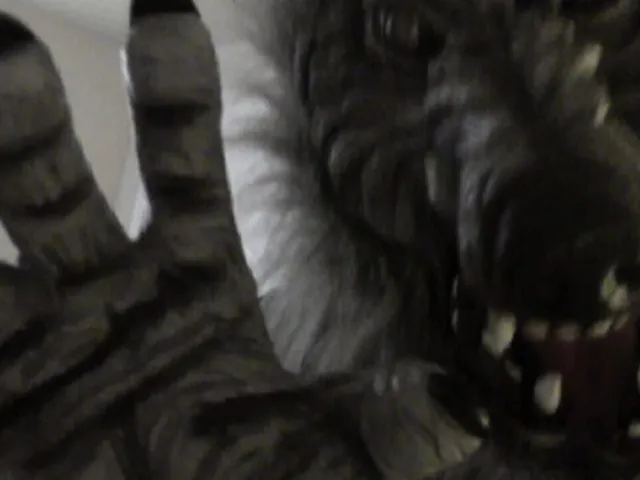 Real Scary