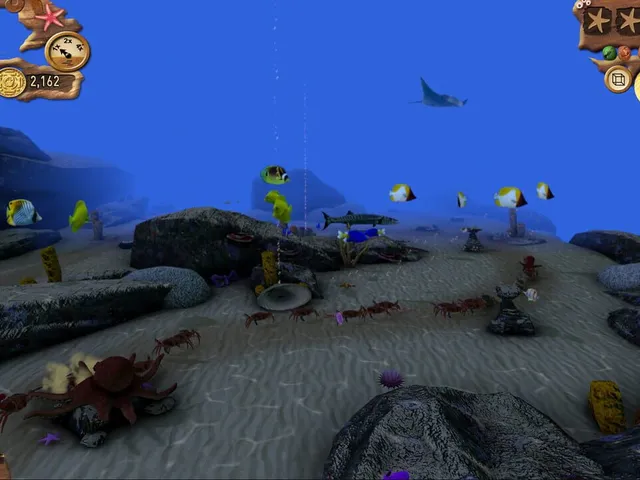 Reef Defense