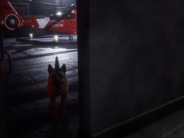 Rescue Operations Simulator