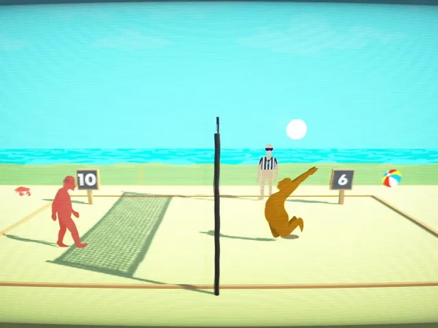 Retired Men's Nude Beach Volleyball League